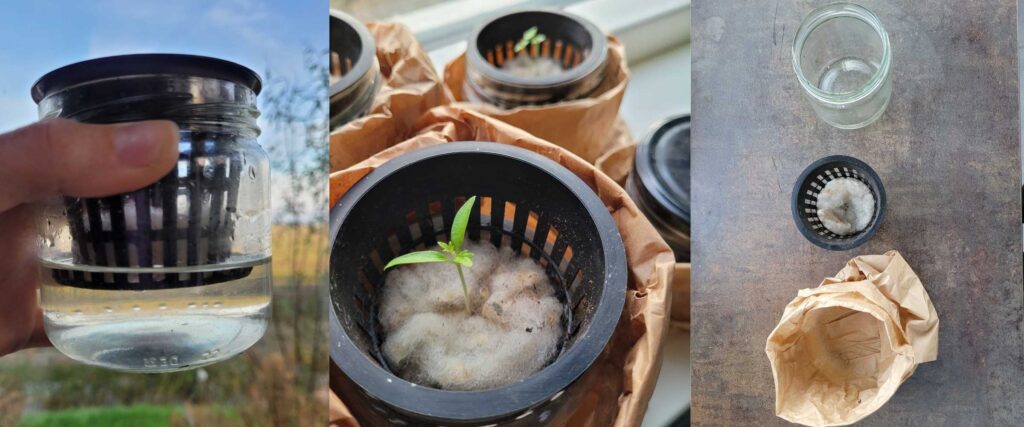 Hydrocultuur: Groeien op water